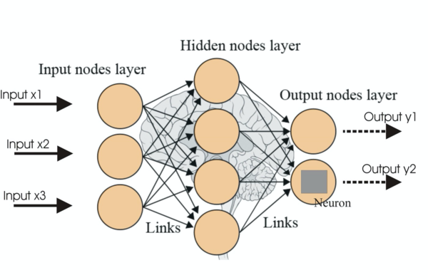 ann_network